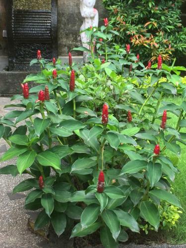 Hostal Ahoy Guesthouse