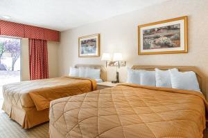 Hotel Rodeway Inn & Suites