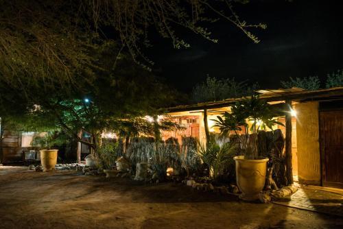 Albergue Shkedi's Camplodge