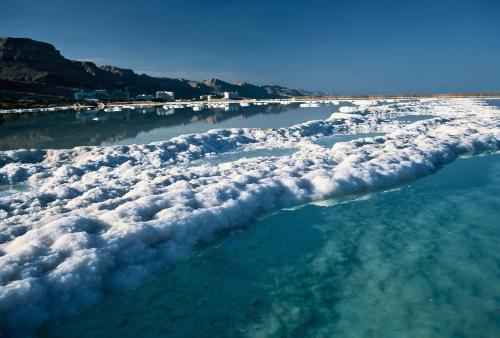 Lodge Belfer's Dead Sea Cabins