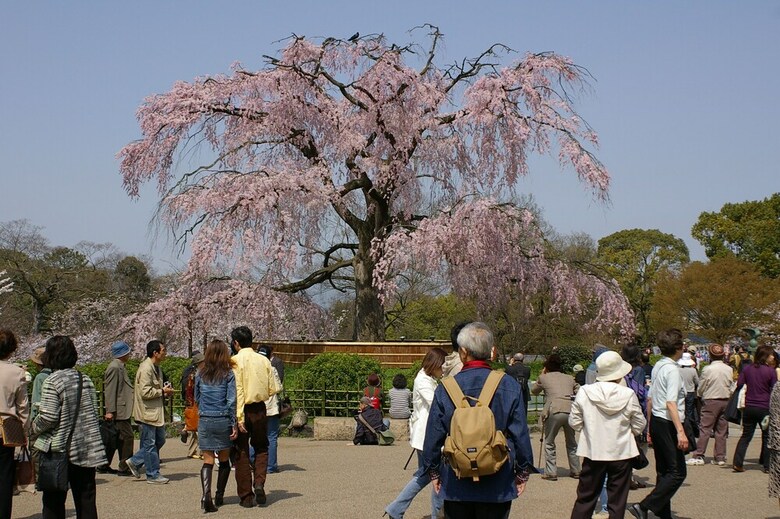 Kyoto Nene House