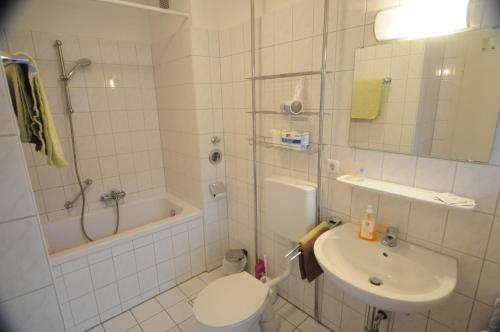 Freiburg Apartment