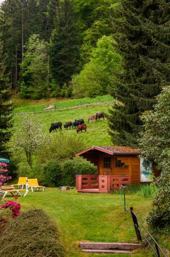 Holzschuh Schwarzwaldhotel