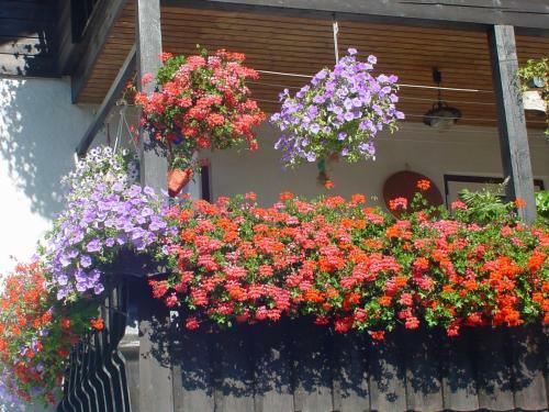 Hostal G�stehaus Kissner