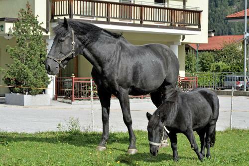Apartments Zum Grian Bam