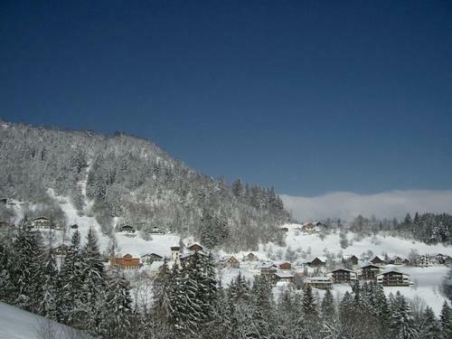 Hotel Gasthaus Sch�fle