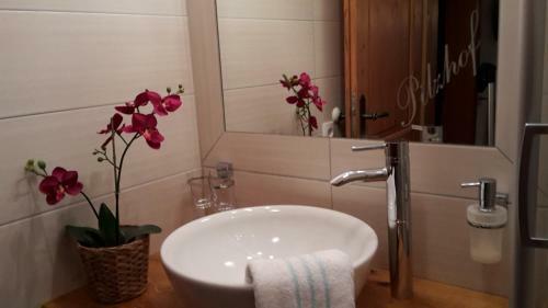 Apartamento Appartement Pilzhof