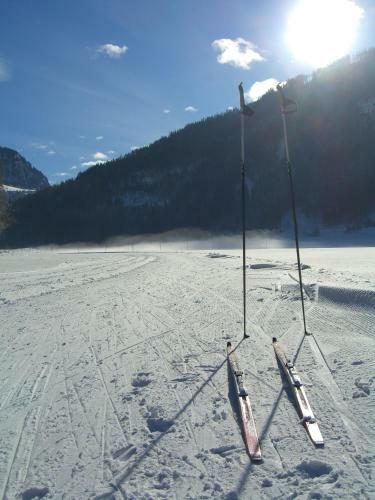Apartamento Appartement Granbichler Siegfried
