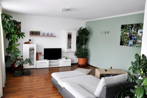 Hostal G�stehaus Wachau