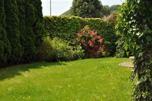 Hostal G�stehaus Wachau