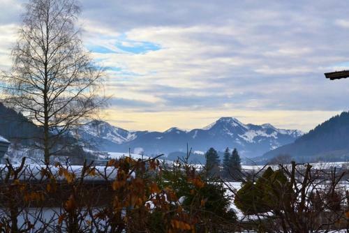 Apartamento Ferienhaus Steidl