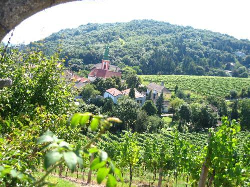 Apartamento Vienna Cottage