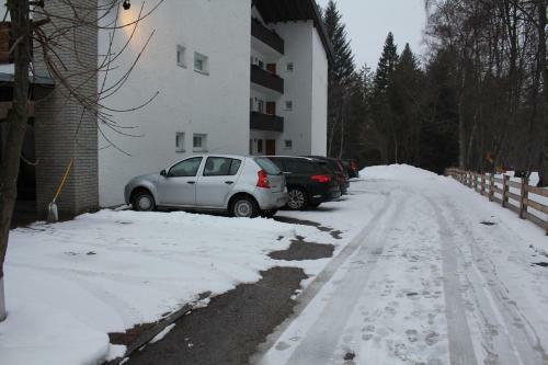 Apartment In Seefeld In Tirol