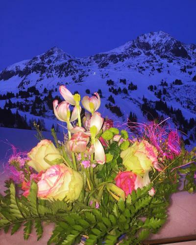 Andi's Skihotel
