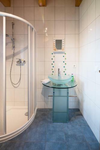 W & S Executive Apartments - Hallstatt II