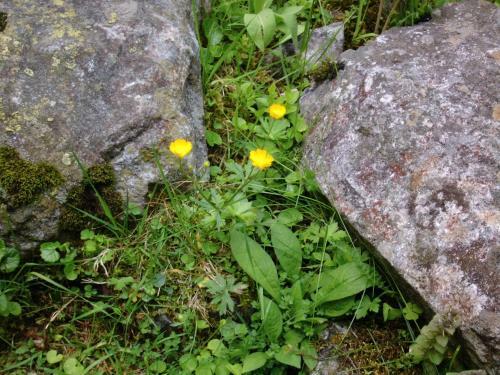 Apartamento Landhaus Tirol