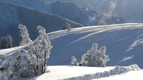 Apartamento Landhaus Tirol