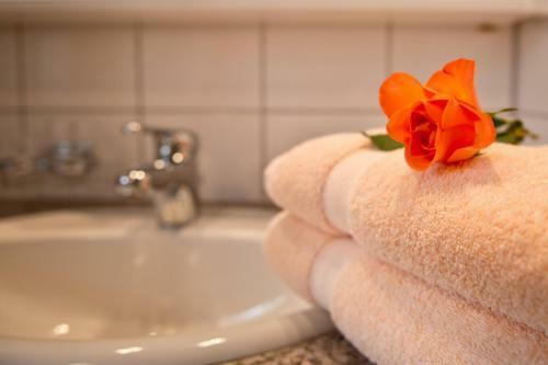 Hostal Alpengasthaus Muntafuner St�bli