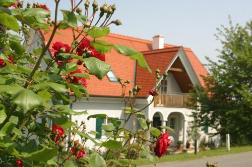 Bed & Breakfast G�ste- Und Vitalhaus Sauer