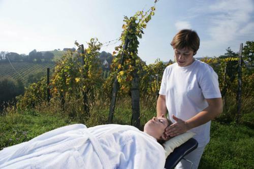Bed & Breakfast G�ste- Und Vitalhaus Sauer