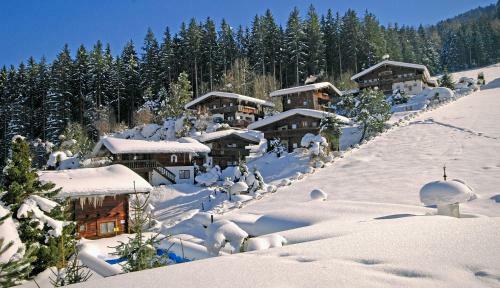 Apartamento Ferienh�user Reither Almen