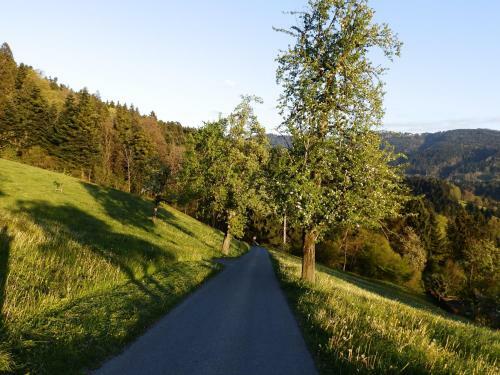 Apartamento Ferienwohnung Nina