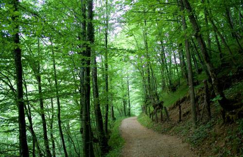 Hostal Guest House ?obi?