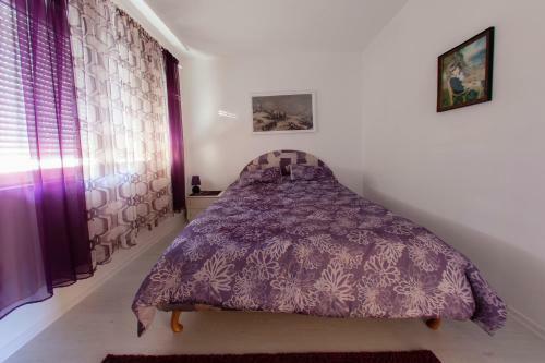 Apartment Cernica
