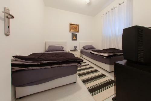Apartment Cernica