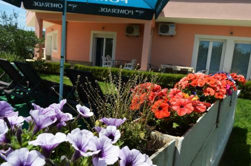 Darijan Apartments