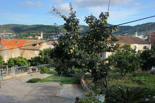 Apartment Vis 2428c
