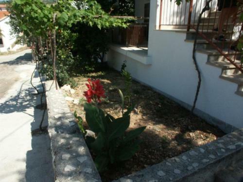 Apartment Stupin Celine 2096b