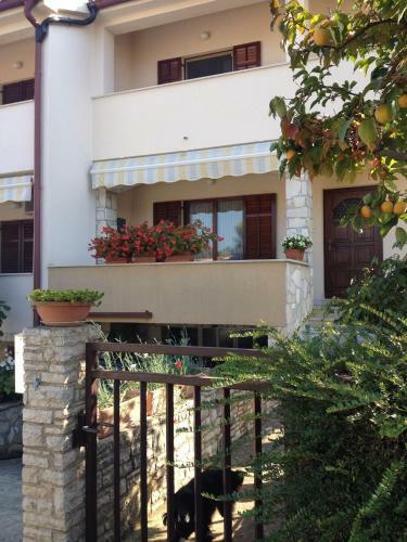 Apartment Stinjan, Istria 4