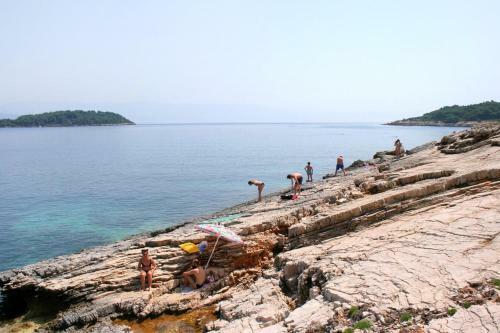 Apartment Vrboska 4601a