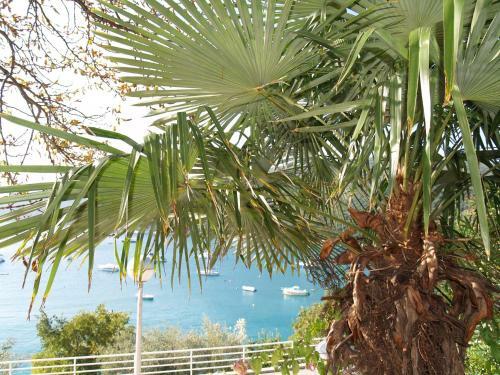Two-bedroom Apartment In Rabac II