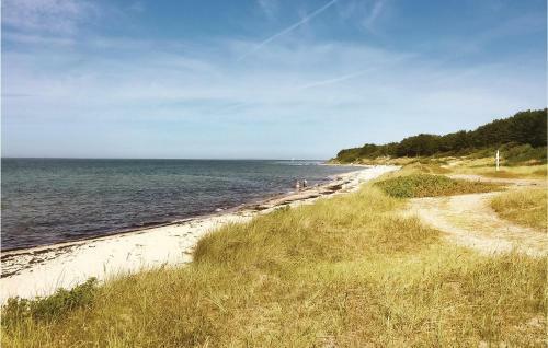 Rubins�en Skovhuse Hasle III