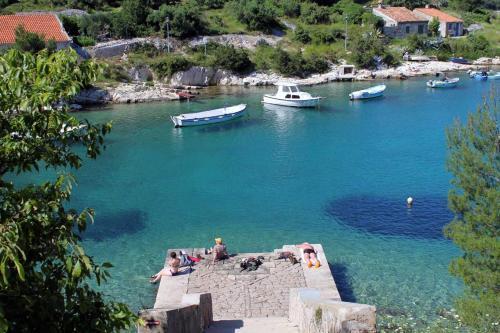 Apartment Mali Losinj 2198c