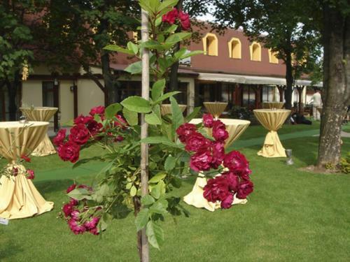 Hostal Penzion Diana