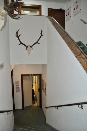 Hostal Penzion Diana