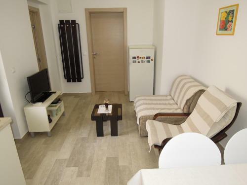 Apartments Borik Puntamika