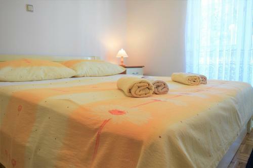 Apartments Ivana