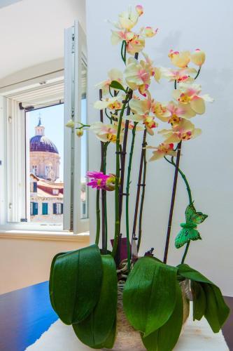 Hostal Apartments & Rooms Orlando