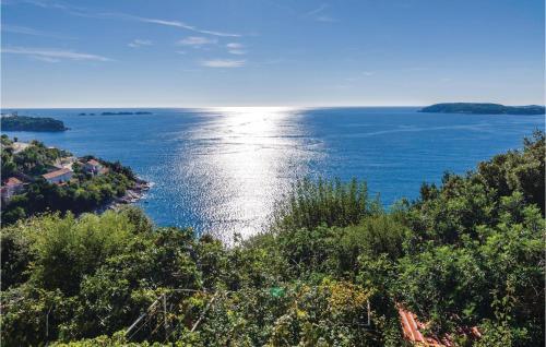 Apartment Zaton With Sea View 284