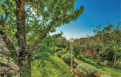 Apartment Omladinska J-556