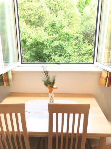 Apartamentos Studio Anga