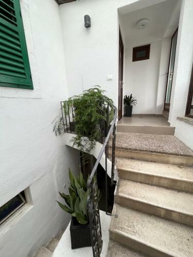Apartment Old Town Ivo