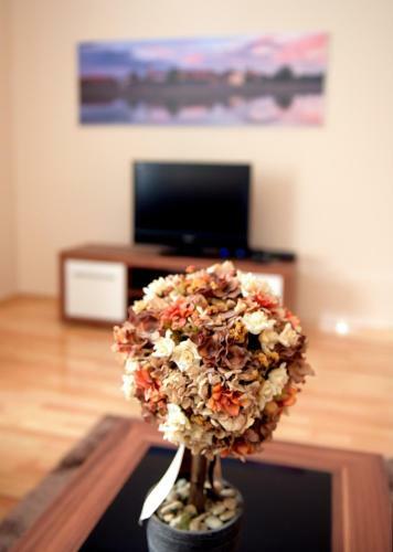 Apartman Cesari?