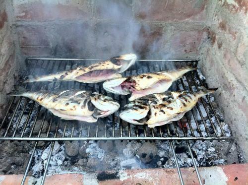 Hostal Guesthouse Trogir Proto