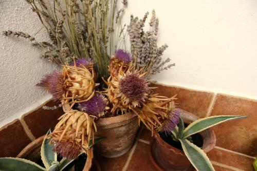 Hostal Guesthouse Trogir Proto