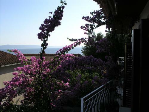 Apartments Dobrila